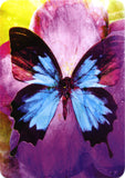 Butterfly Affirmations