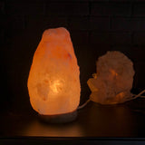 Salt Lamp Regular #1