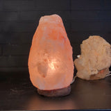 Salt Lamp Regular #1