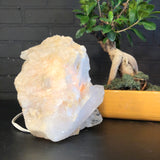 Agate Lamp