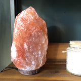 Salt Lamp Regular #6